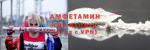 стаф Ессентукская